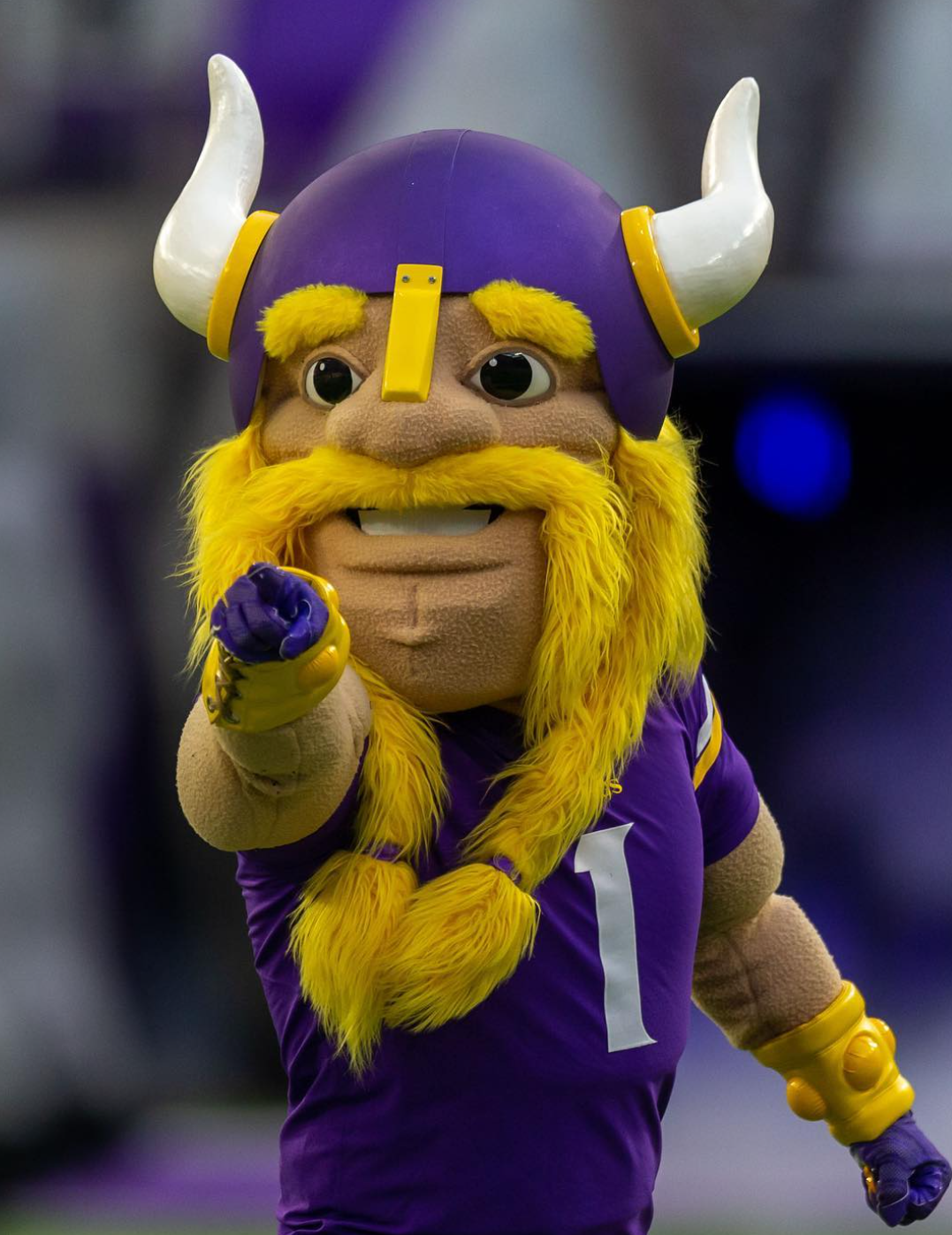 Minnesota Vikings - Maskottchen + Cheerleaders - Fanship Football